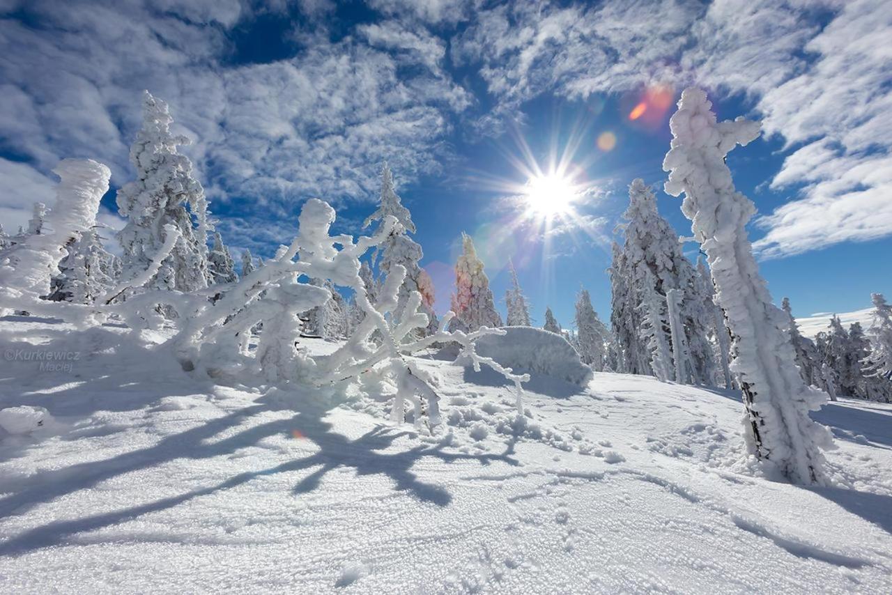 Domek 4Seasons Karpacz Z Prywatna Sauna I Kominkiem Exteriör bild